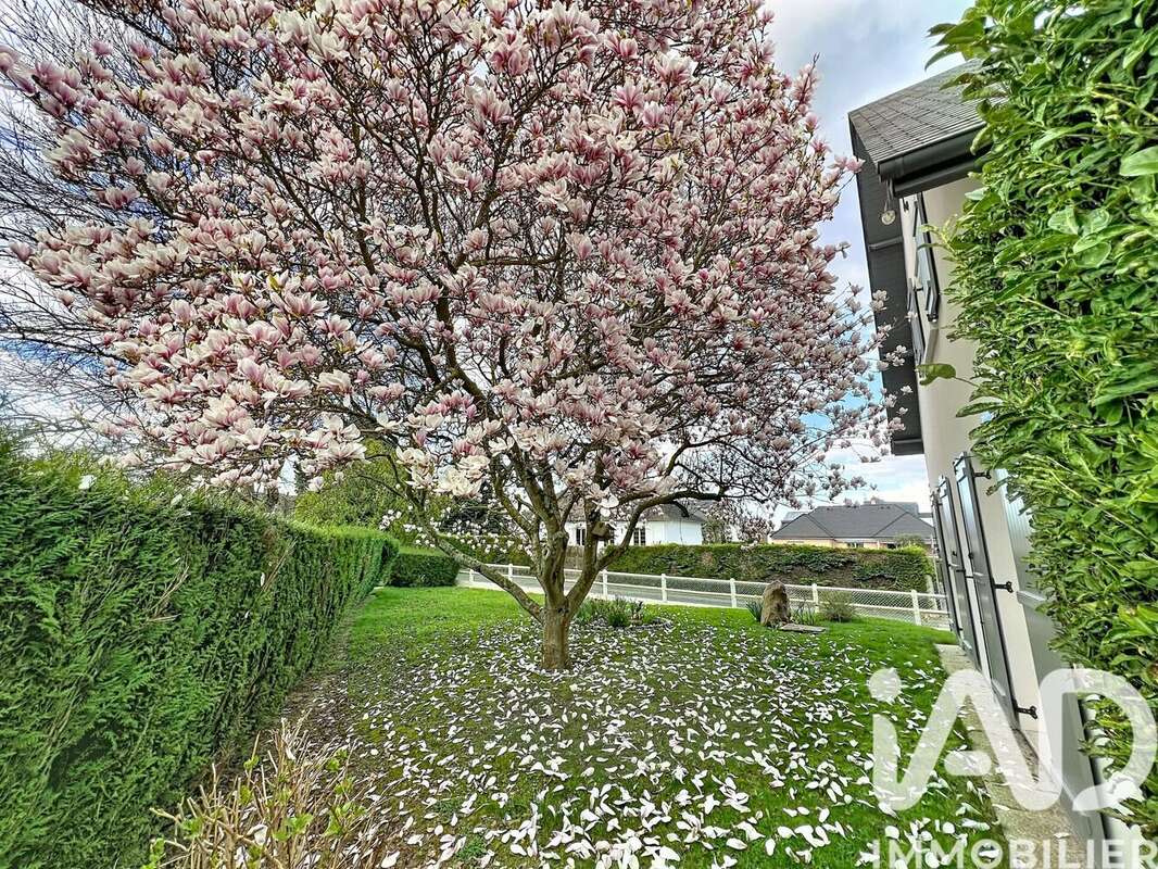 Photo 4 - Maison à LE MESNIL-ESNARD