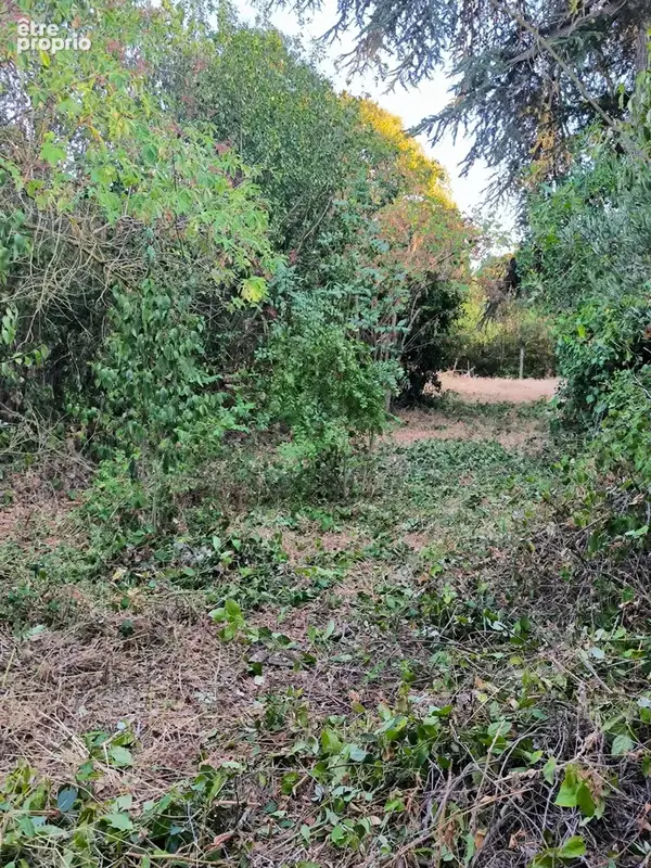 À Bram (11), maison en pierres apparentes à aménager sur un beau terrain de 3300 m2 constructible. - photo 14