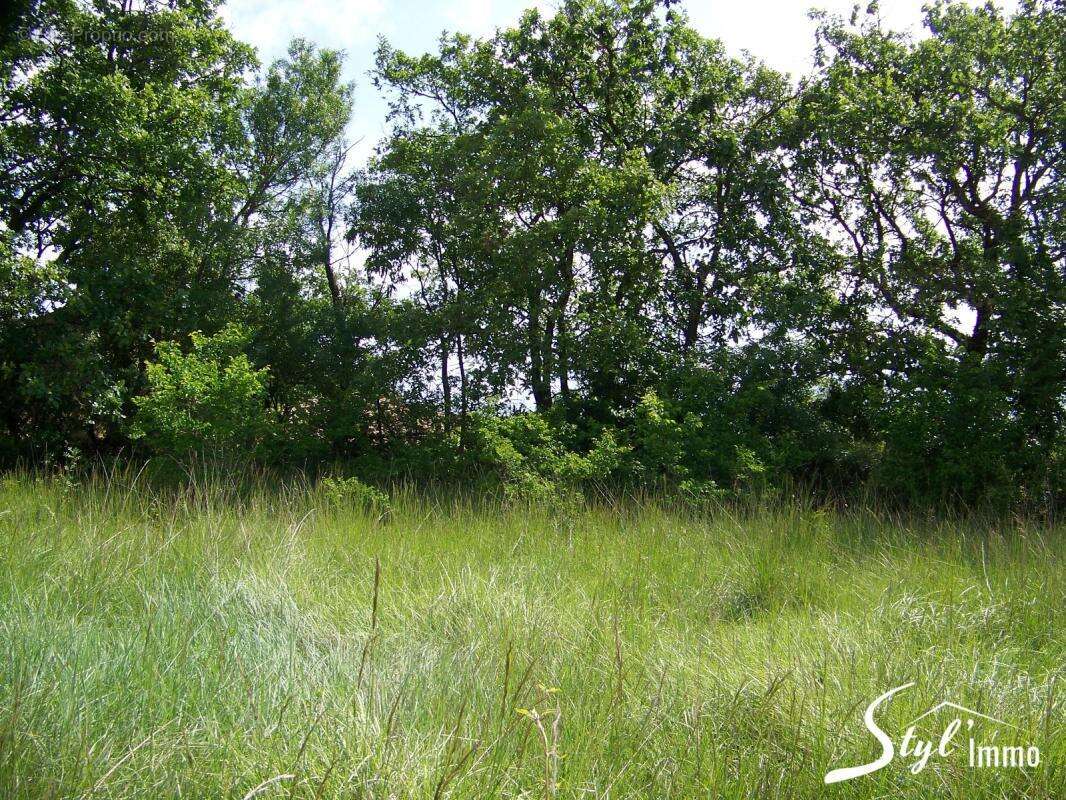 Terrain à LUSSAN