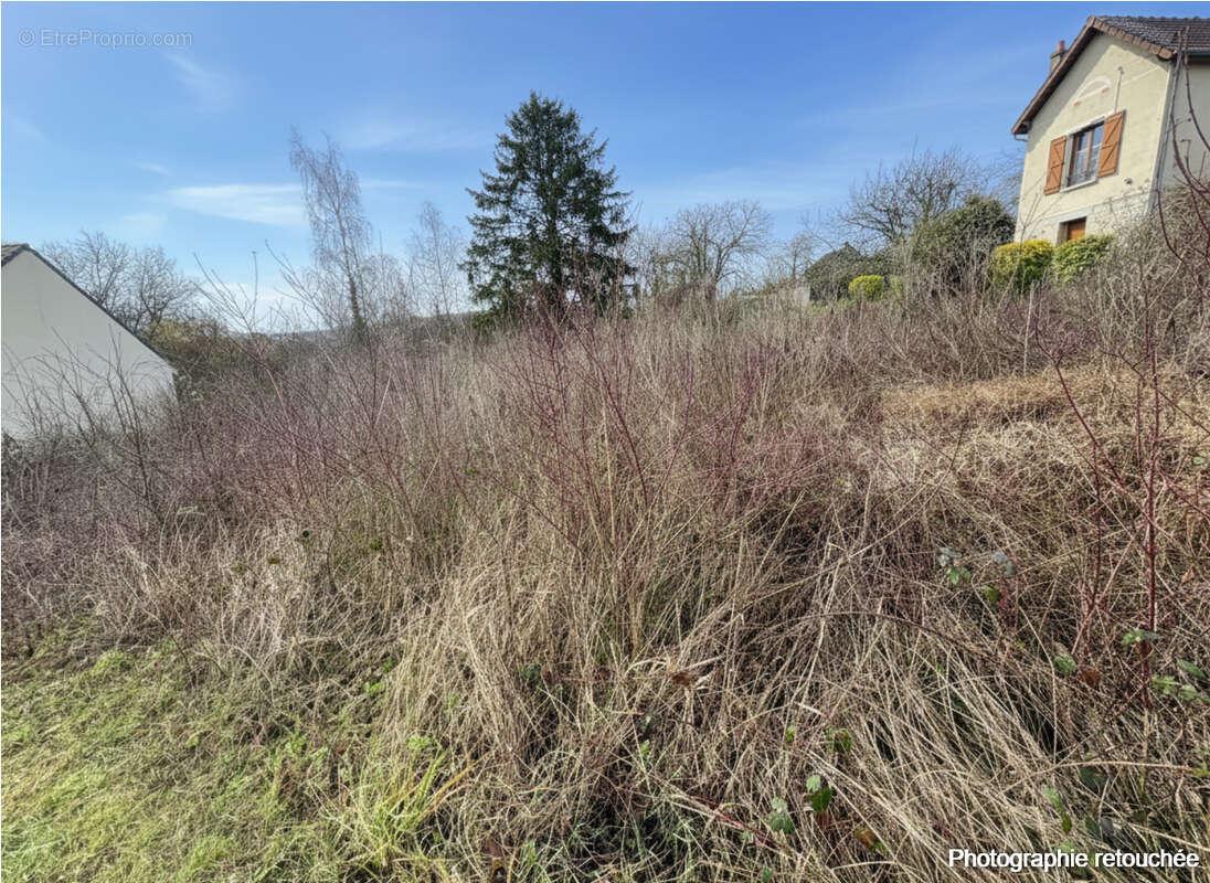Terrain à SAACY-SUR-MARNE