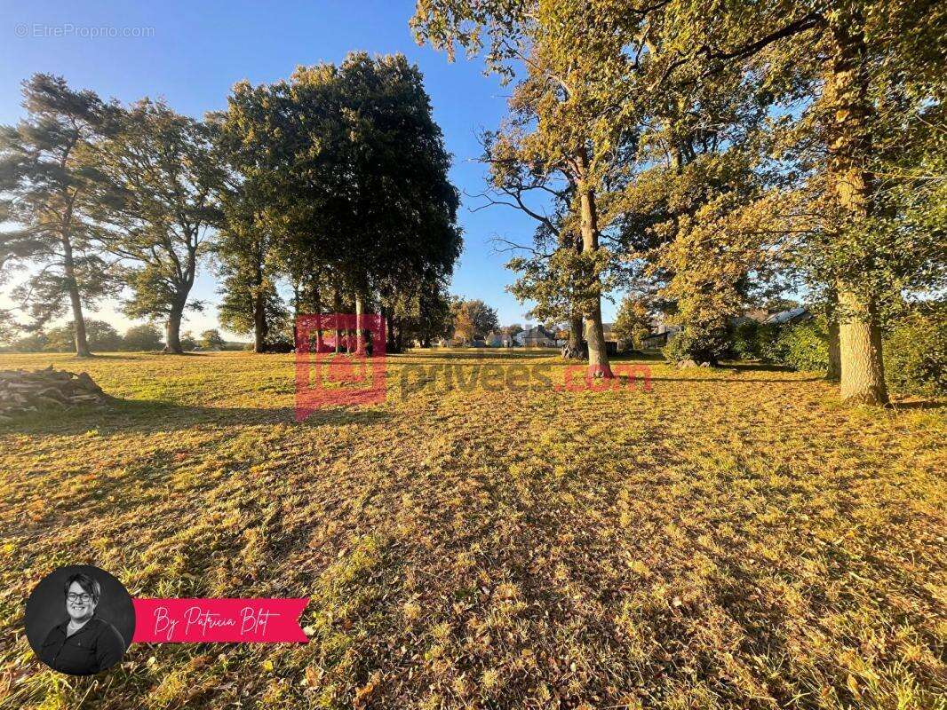 Maison à BAINS-SUR-OUST