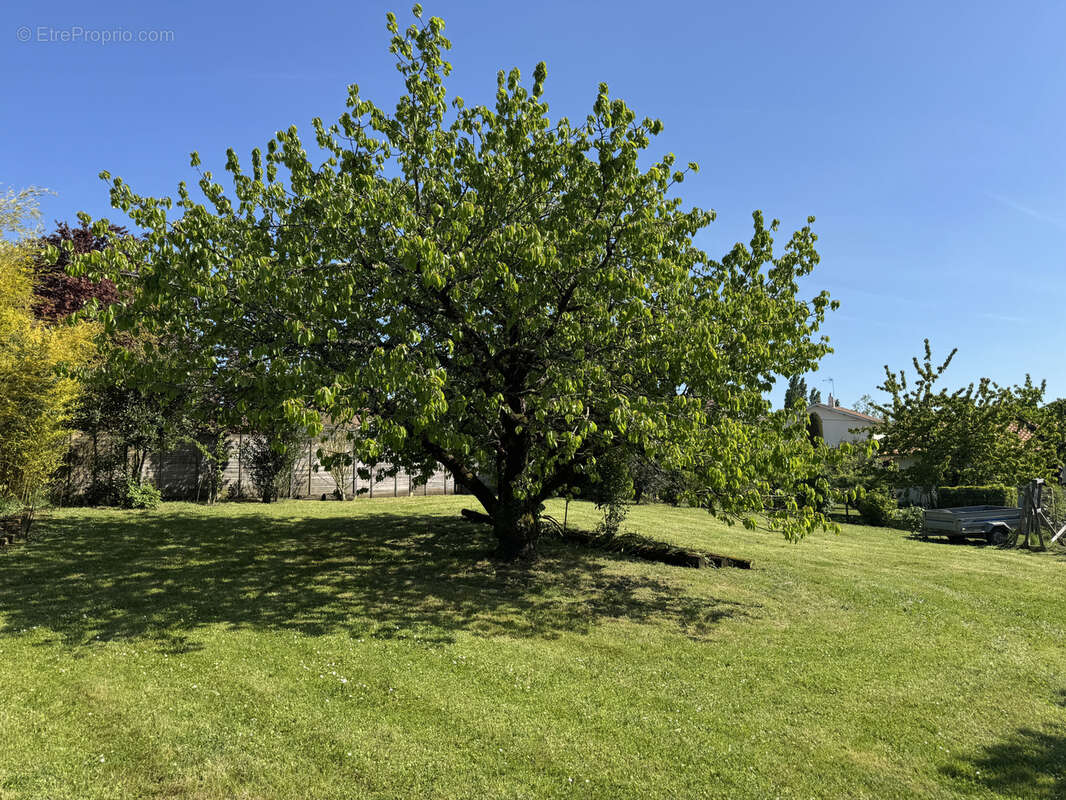 Maison à BARBEZIEUX-SAINT-HILAIRE
