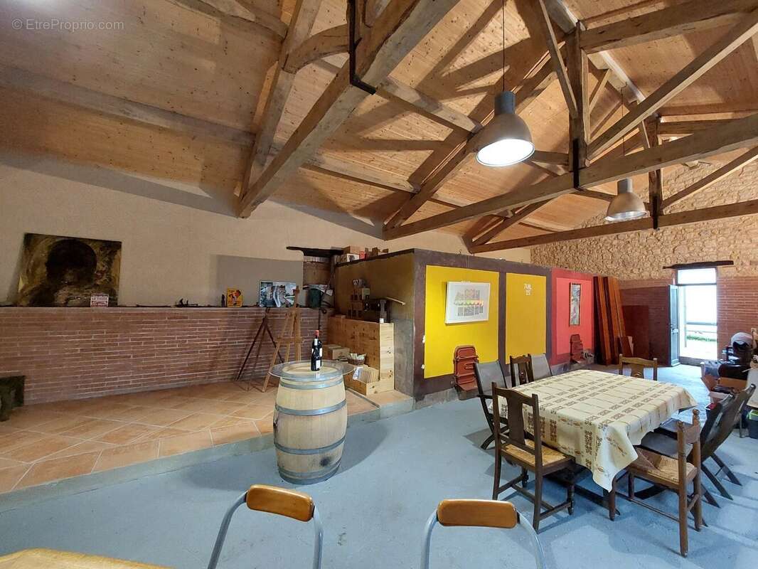 Domaine viticole bio près de Cordes-sur-Ciel - photo 5