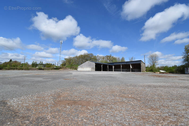 Commerce à LA FERTE-MACE