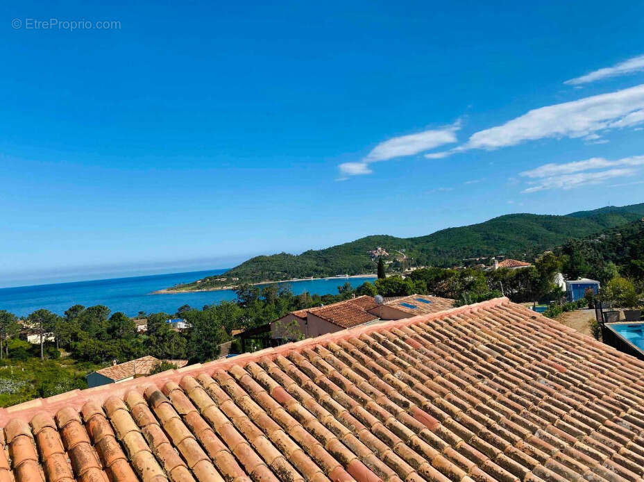 Maison à SARI-SOLENZARA