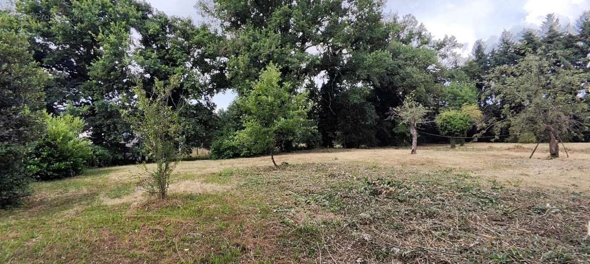 Photo 4 - Terrain à MONTROND-LES-BAINS