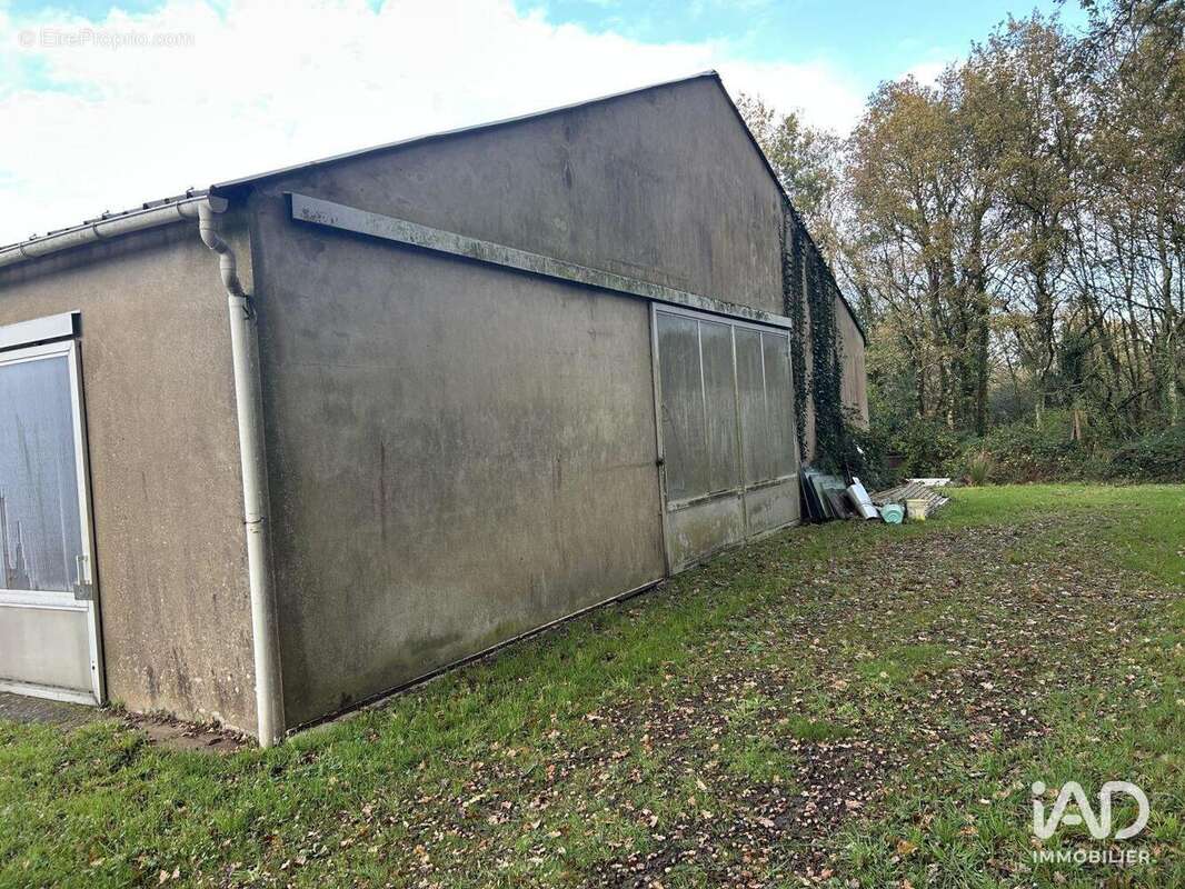 Photo 6 - Commerce à MAUVES-SUR-LOIRE