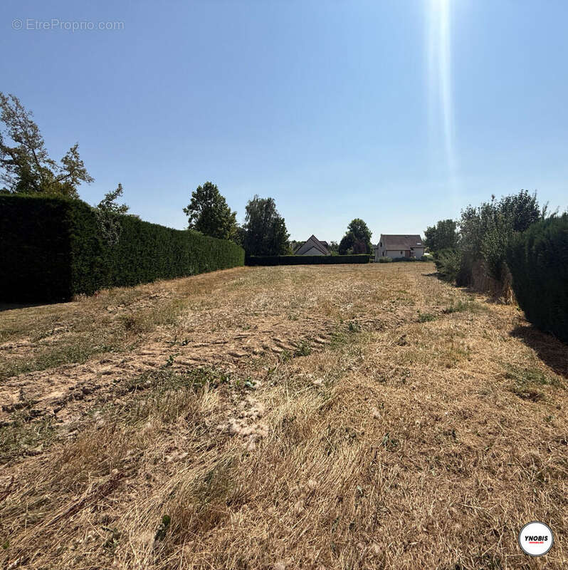 Terrain Les Alluets Le Roi - photo 3