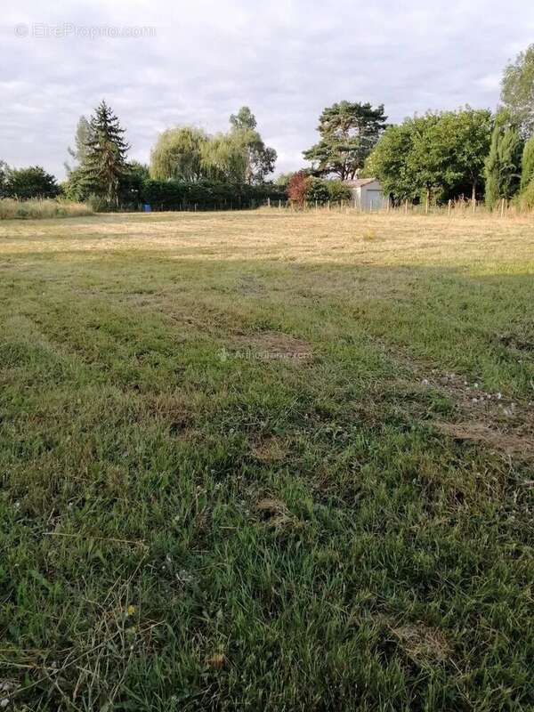 Terrain à MARSSAC-SUR-TARN