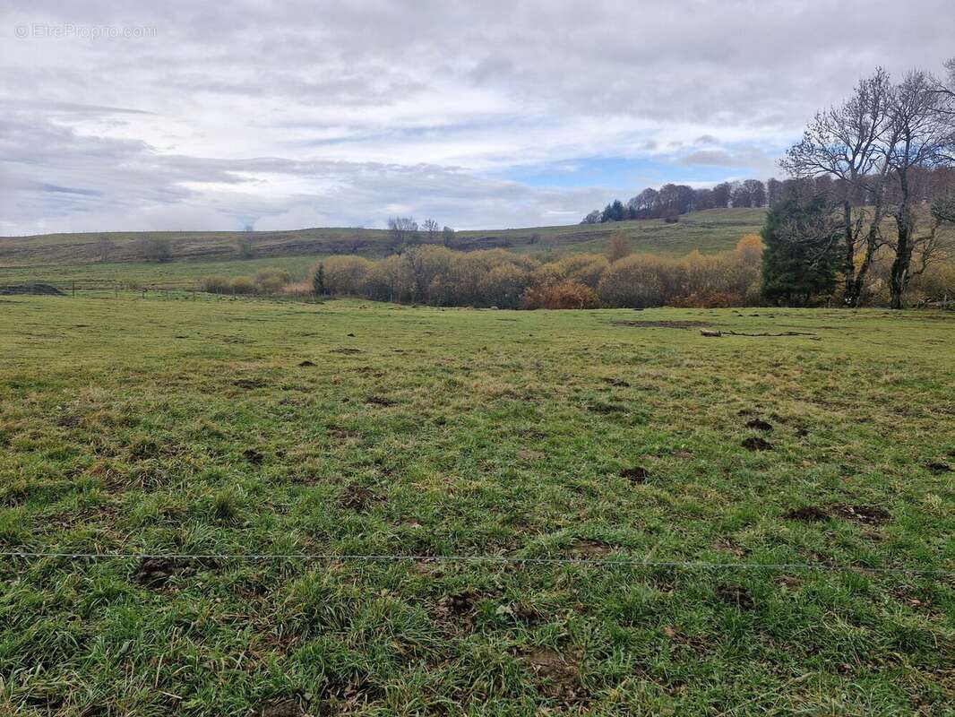 Terrain à PICHERANDE