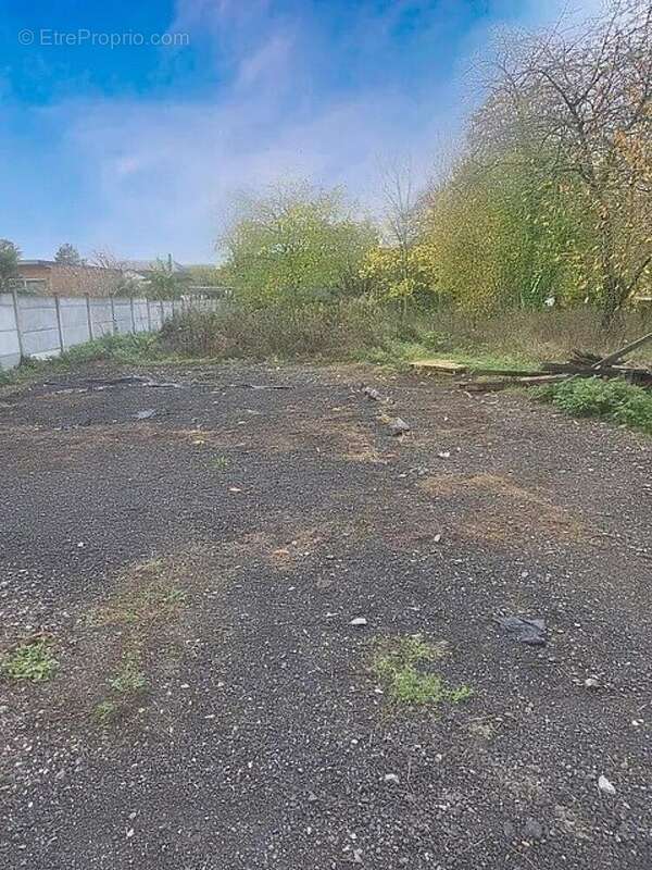 Photo 2 - Appartement à CHARMES