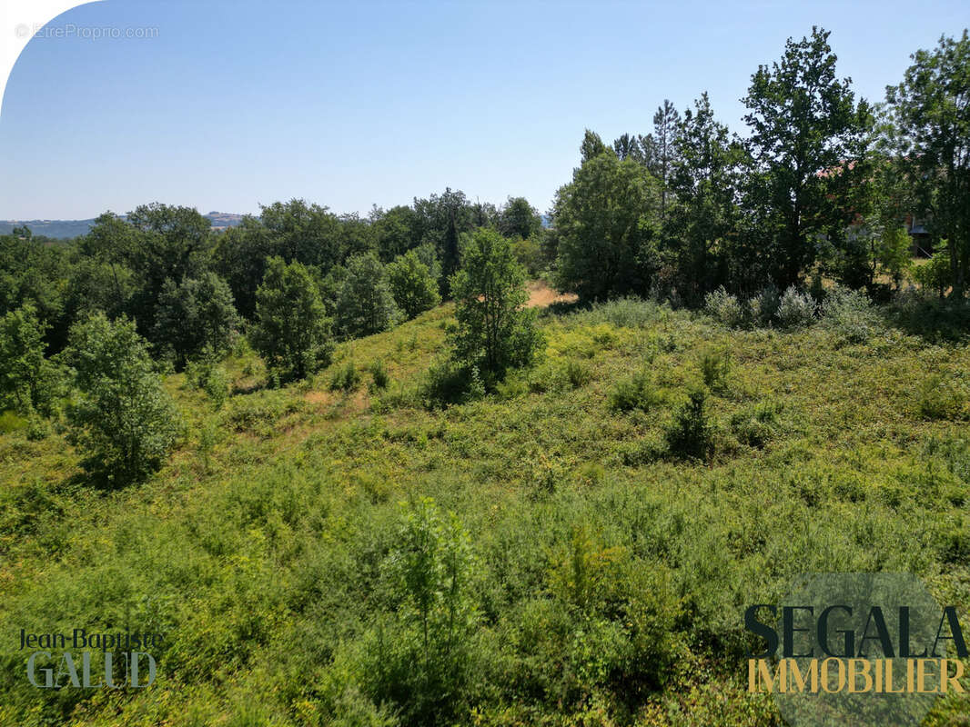 Terrain constructible boisé de 6 310 m2 à Mirandol-Bourgnounac - photo 21