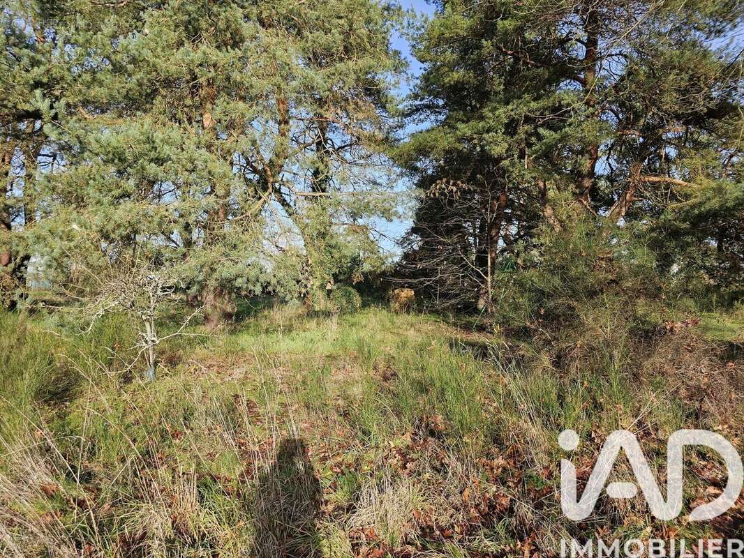 Photo 3 - Terrain à VIEILLES-MAISONS-SUR-JOUDRY