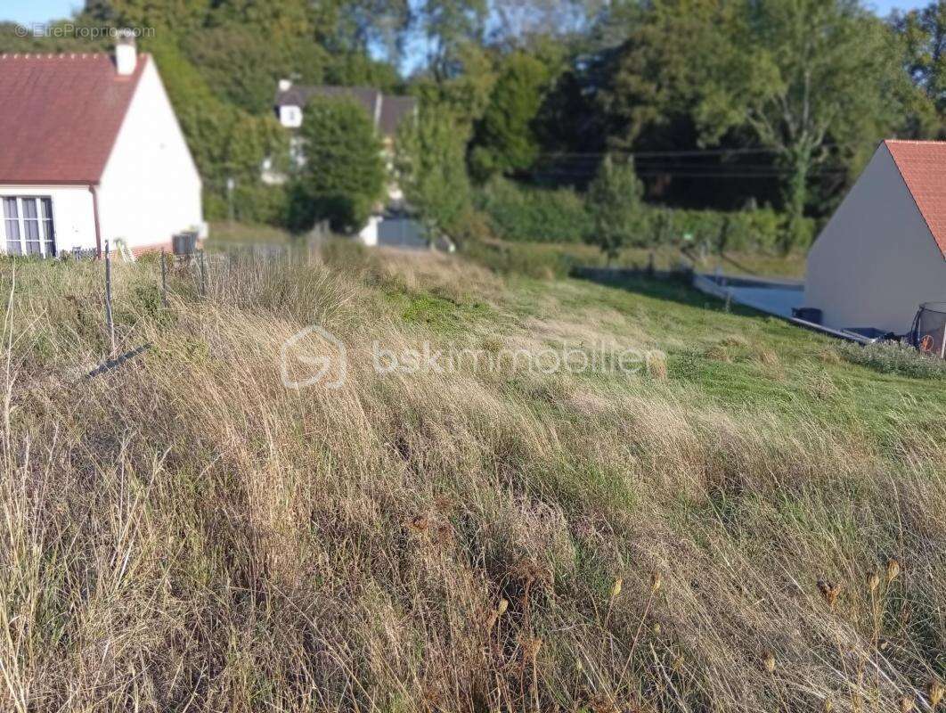 Terrain à SAINTE-GENEVIEVE