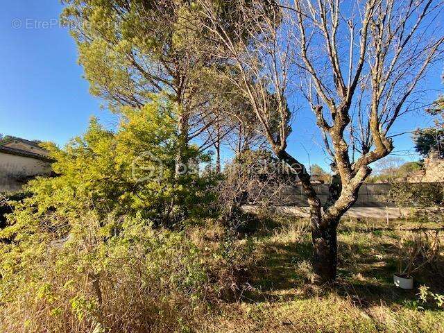 Maison à CASTELNAU-LE-LEZ