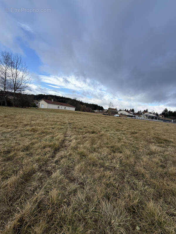 Terrain à SAINT-PAL-DE-MONS