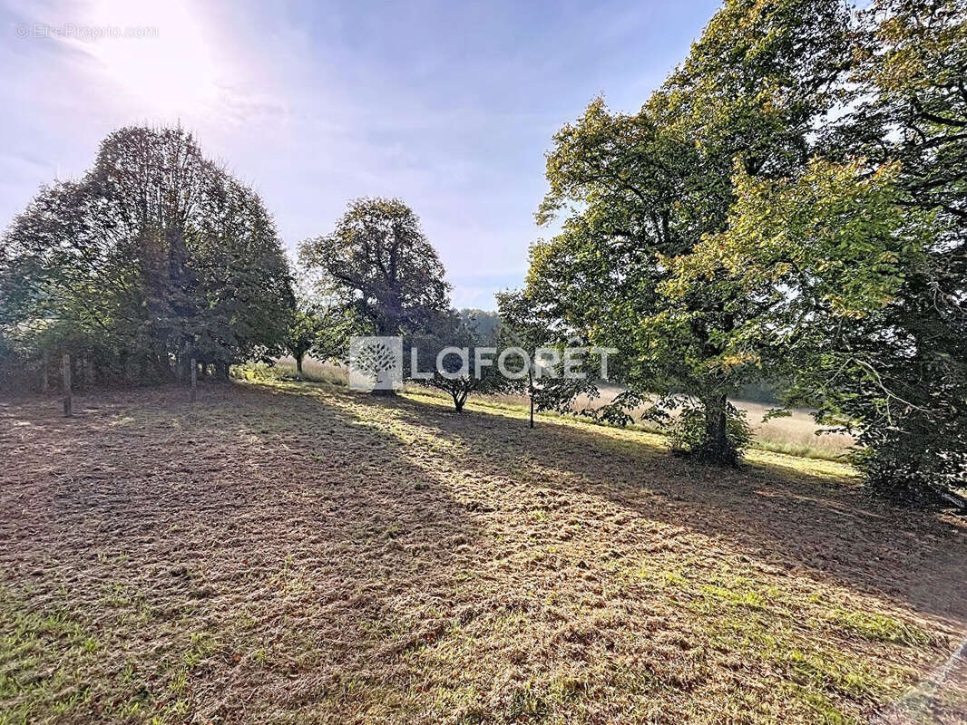 Maison à SIXT-SUR-AFF