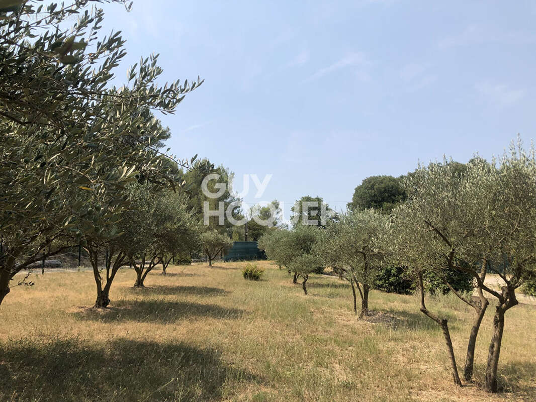 Maison Tarascon dans la garrigue sur 3205 m² - photo 14