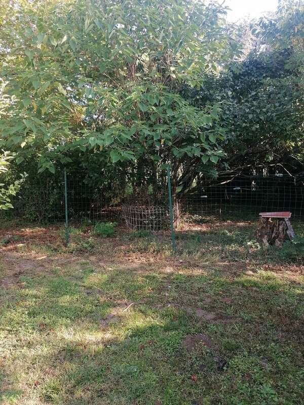 Maison à LISLE-SUR-TARN