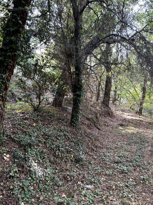 Terrain à LES ADRETS-DE-L'ESTEREL