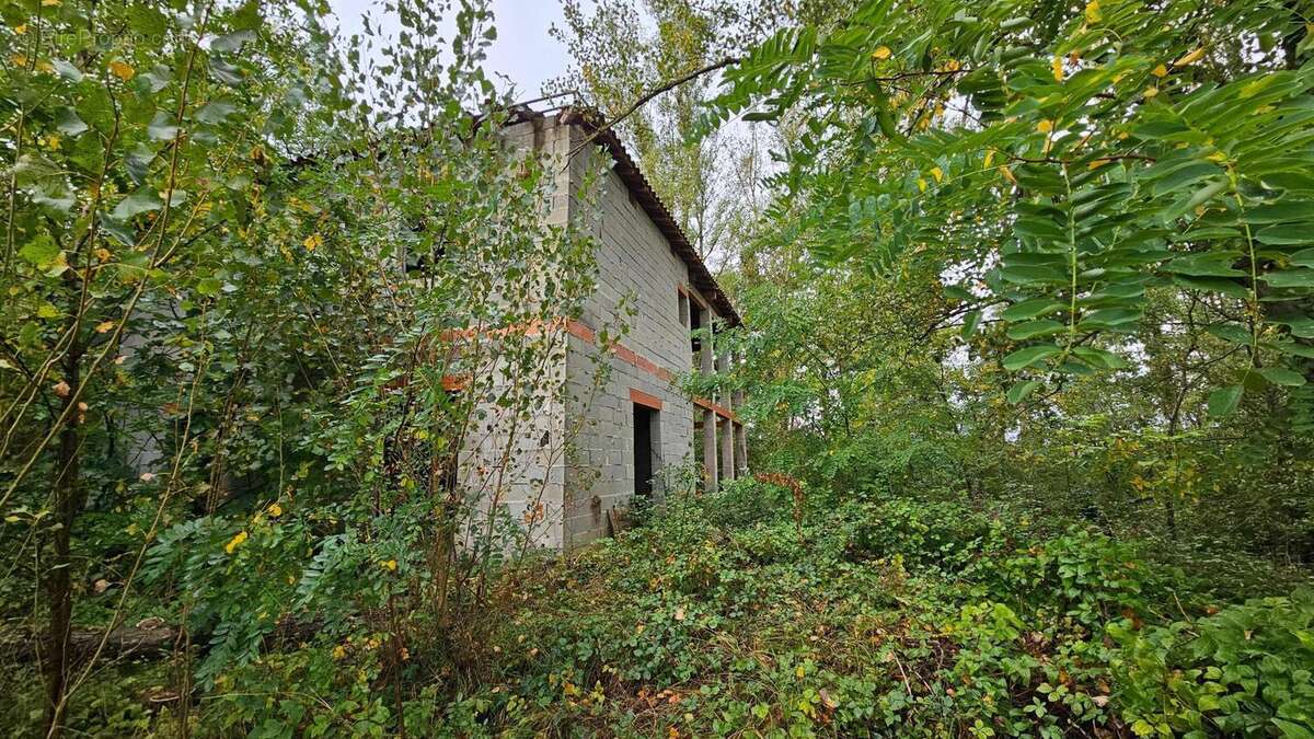 Terrain 5100 m² à Montdurausse  - photo 2