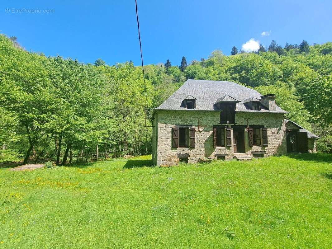 Magnifique ancien moulin rénové - La Roche Canillac - photo 6
