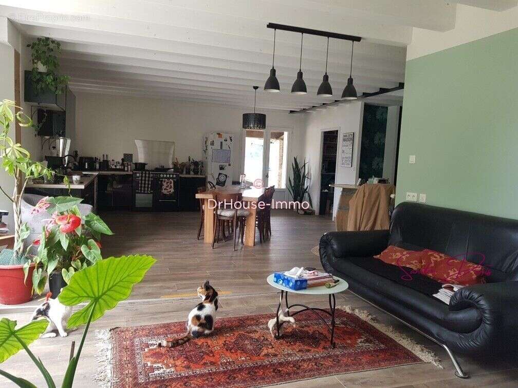 Maison à SAINT-FELIX-DE-FONCAUDE