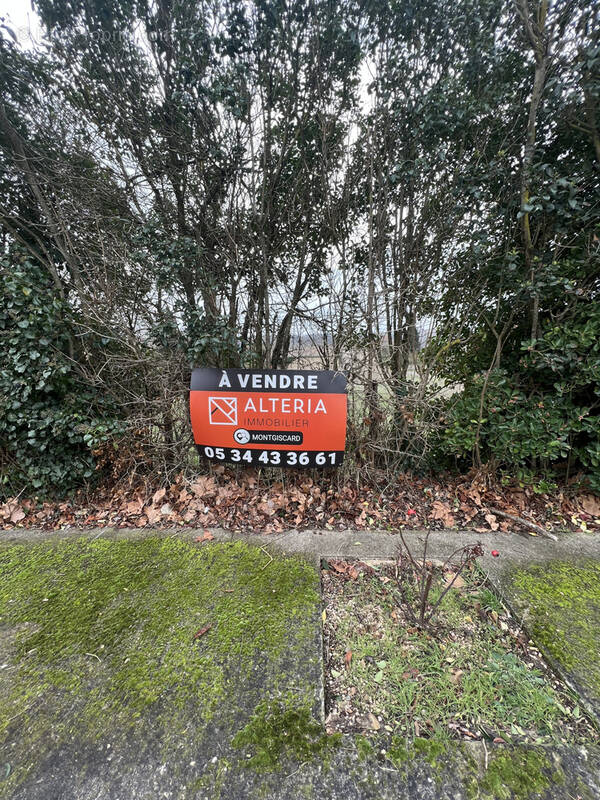 Terrain à AVIGNONET-LAURAGAIS