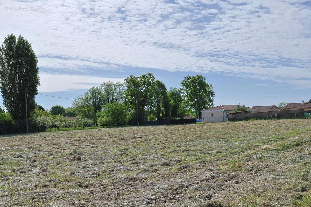 Terrain 1037 m² à Chevroux  - photo 2
