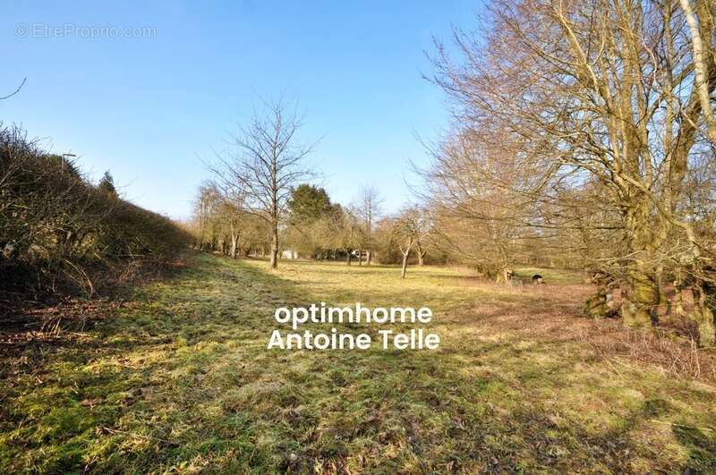 Terrain à POMMEREUIL
