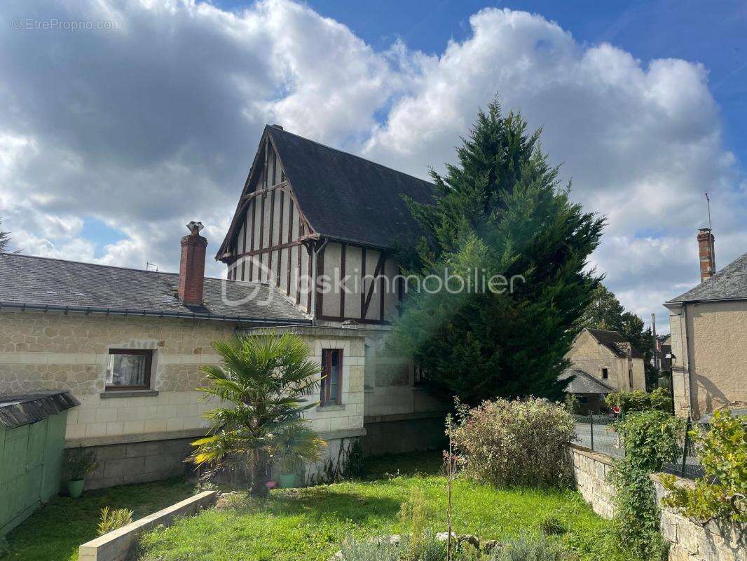 Maison à LE PETIT-PRESSIGNY