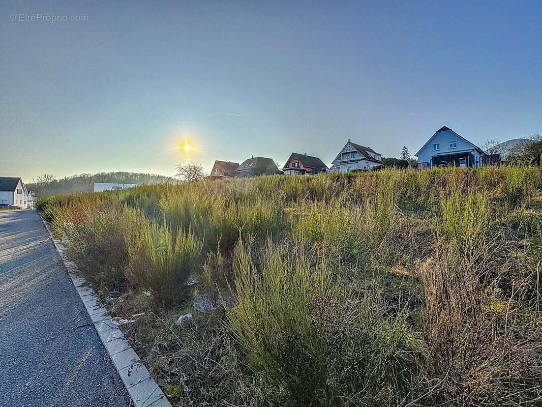 Terrain à LUTZELHOUSE