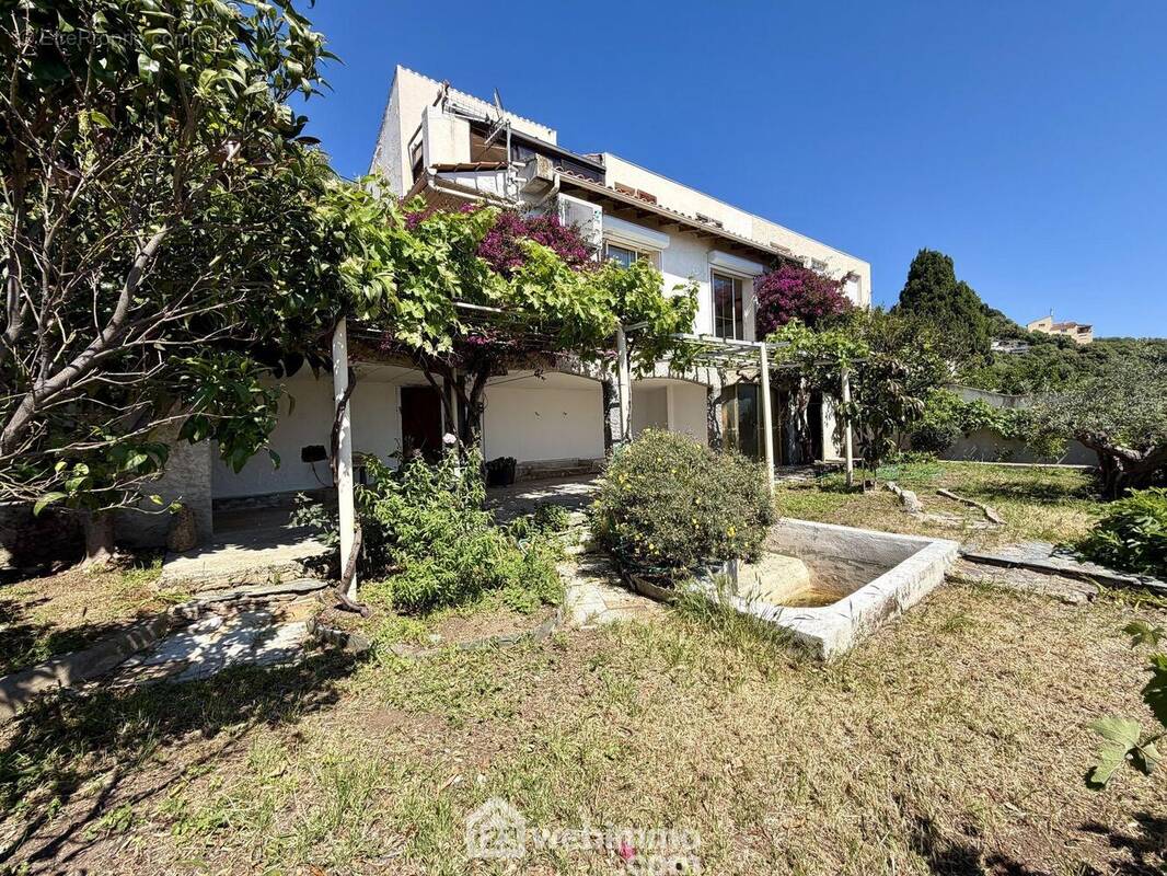La maison est implantée sur un terrain de 450m2 - Maison à SAN-MARTINO-DI-LOTA