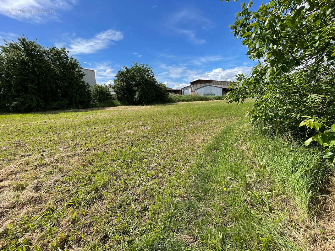 Terrain à SAINTE-LIVRADE-SUR-LOT