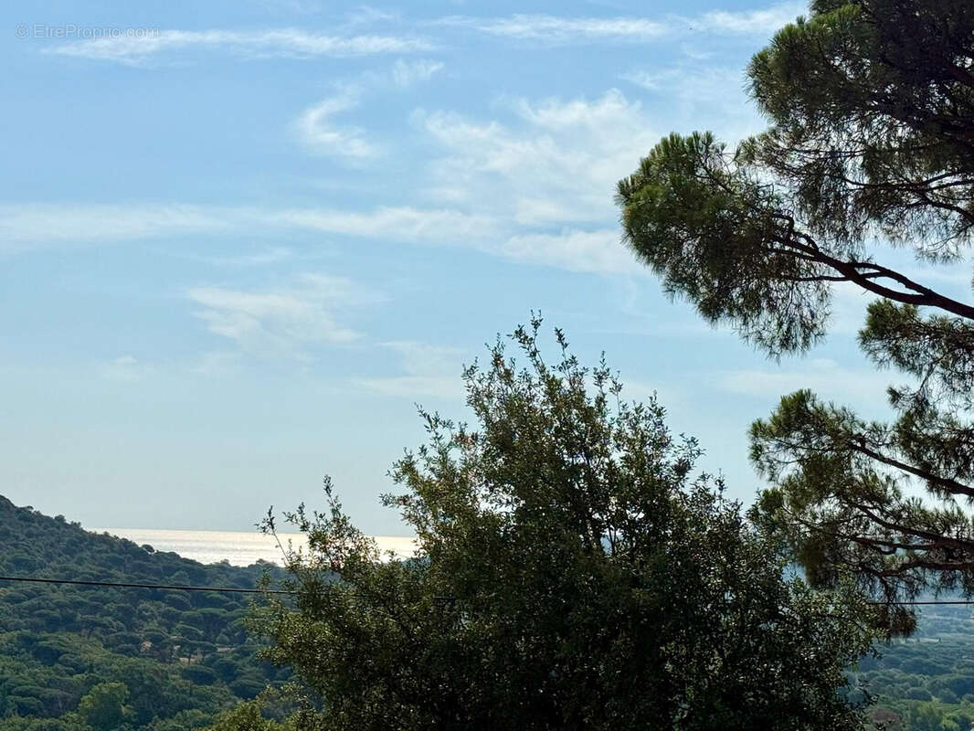 Appartement à RAMATUELLE