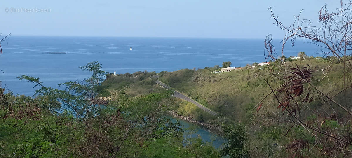 Terrain à VIEUX-HABITANTS