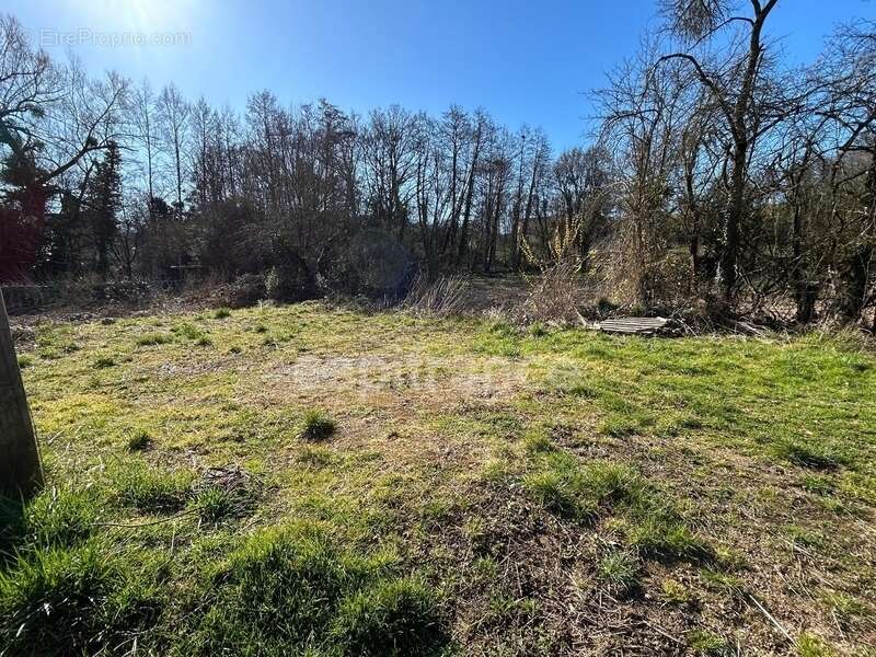 Maison à VILLENEUVE-SUR-YONNE