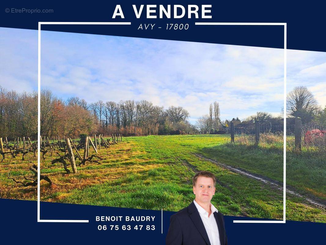 Terrain à AVY