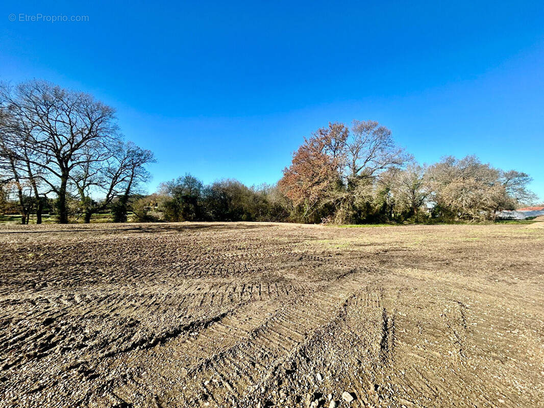 Terrain à MONT-DE-MARSAN