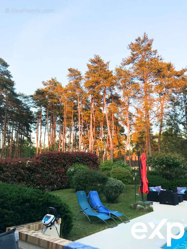 Maison à PRUNIERS-EN-SOLOGNE