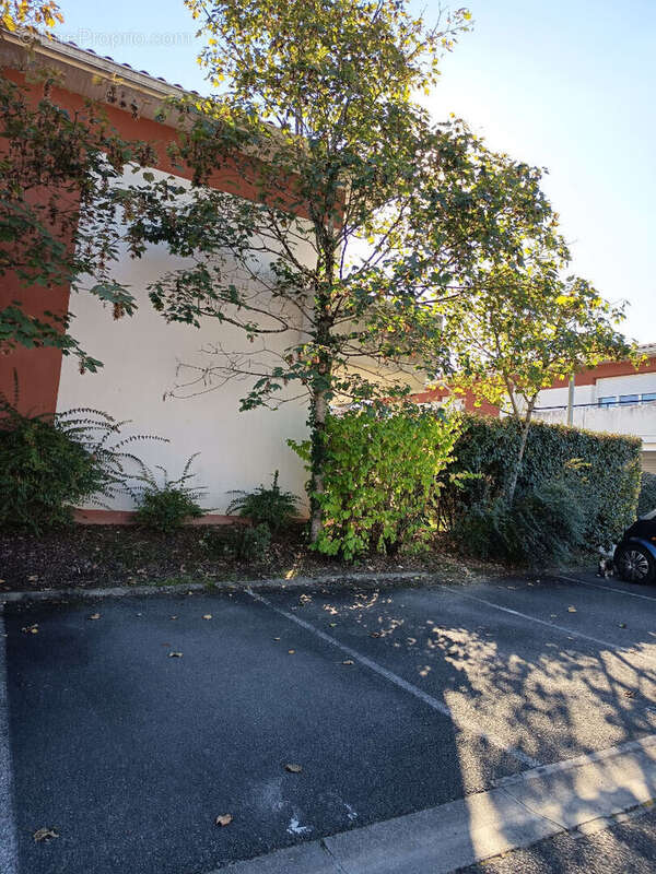 Appartement à PAREMPUYRE