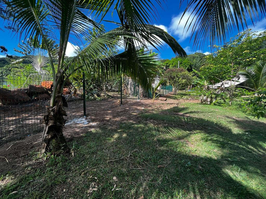 Terrain à REMIRE-MONTJOLY