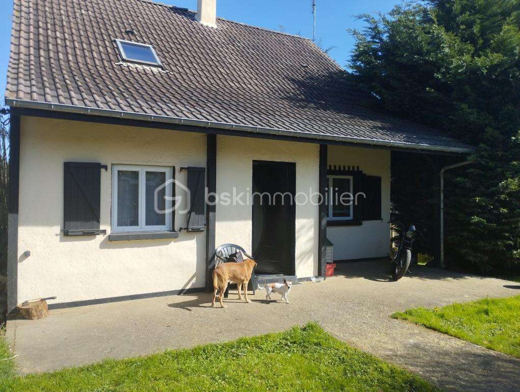 Maison à CHATEAU-RENARD