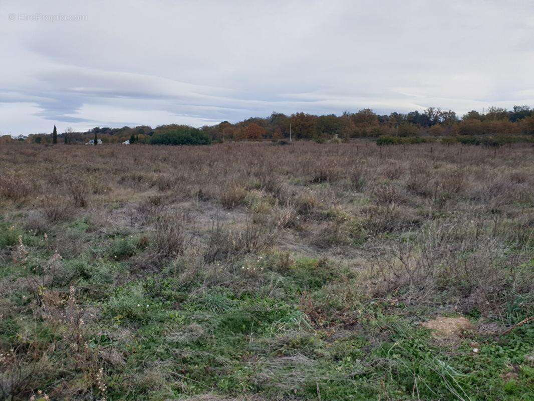 Terrain à BANYULS-DELS-ASPRES