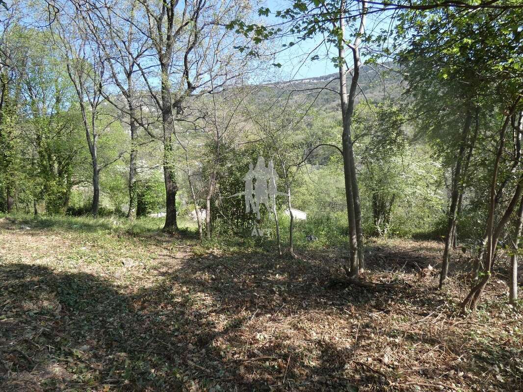 Terrain 6 827 m² à vendre à Bargemon (83830) - photo 49