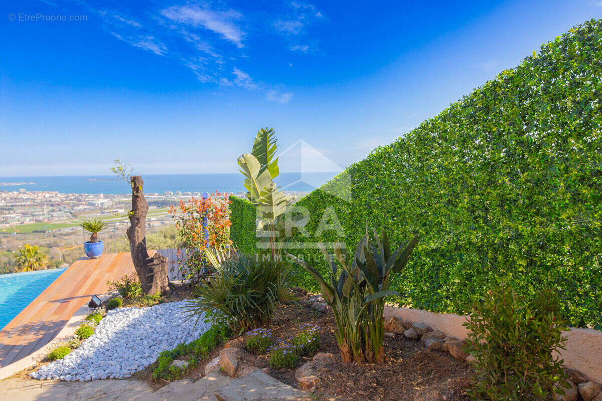 Maison à MANDELIEU-LA-NAPOULE