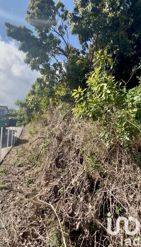 Photo 5 - Terrain à ENTRE-DEUX