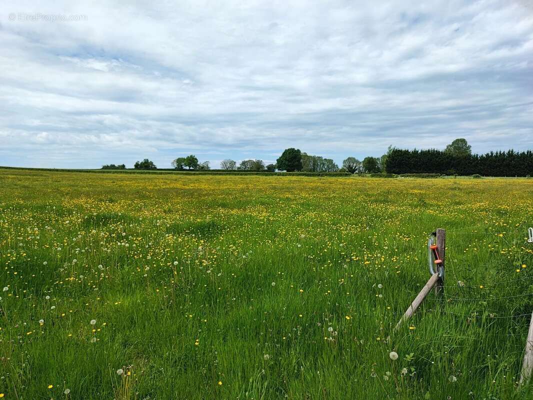 Maison à LA ROCHE-EN-BRENIL