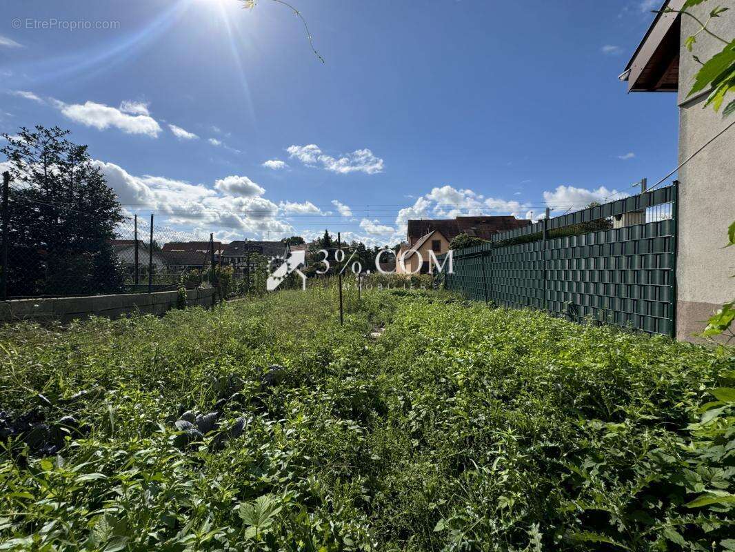 Maison à HOCHFELDEN