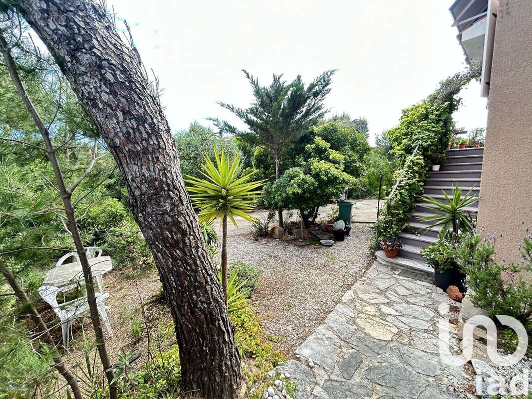 Photo 8 - Maison à SAINT-MANDRIER-SUR-MER